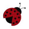 Ladybug Beetle-0